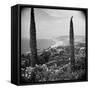 Garden Overlooking the California Pacific Coastline-Nina Leen-Framed Stretched Canvas