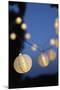 Garden Party, Chain of Lights-Catharina Lux-Mounted Photographic Print