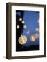 Garden Party, Chain of Lights-Catharina Lux-Framed Photographic Print