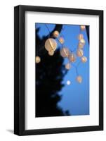 Garden Party, Chain of Lights-Catharina Lux-Framed Photographic Print