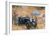 Garden Party with the Bentley-Peter Miller-Framed Giclee Print