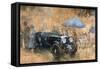 Garden Party with the Bentley-Peter Miller-Framed Stretched Canvas