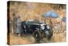 Garden Party with the Bentley-Peter Miller-Stretched Canvas