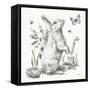 Garden Patch I Sketch-Leslie Trimbach-Framed Stretched Canvas