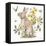 Garden Patch II Yellow-Leslie Trimbach-Framed Stretched Canvas