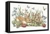 Garden Patch IX-Leslie Trimbach-Framed Stretched Canvas