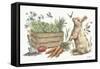Garden Patch X-Leslie Trimbach-Framed Stretched Canvas