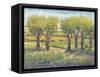 Garden Path I-Tim O'toole-Framed Stretched Canvas