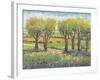 Garden Path I-Tim O'toole-Framed Art Print