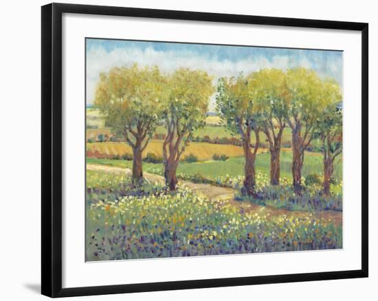 Garden Path I-Tim O'toole-Framed Art Print