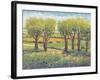 Garden Path I-Tim O'toole-Framed Art Print