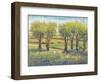 Garden Path I-Tim O'toole-Framed Art Print