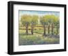 Garden Path I-Tim O'toole-Framed Art Print