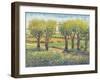 Garden Path I-Tim O'toole-Framed Art Print