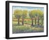 Garden Path I-Tim O'toole-Framed Art Print