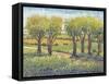 Garden Path I-Tim O'toole-Framed Stretched Canvas