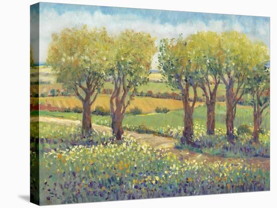 Garden Path I-Tim O'toole-Stretched Canvas