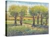 Garden Path I-Tim O'toole-Stretched Canvas