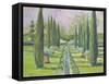 GARDEN PATH-ALLAYN STEVENS-Framed Stretched Canvas