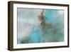 Garden Patina I-Dan Meneely-Framed Art Print