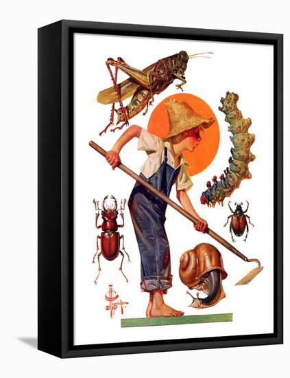 "Garden Pests,"June 4, 1932-Joseph Christian Leyendecker-Framed Stretched Canvas