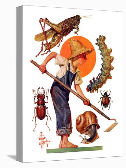 "Garden Pests,"June 4, 1932-Joseph Christian Leyendecker-Stretched Canvas