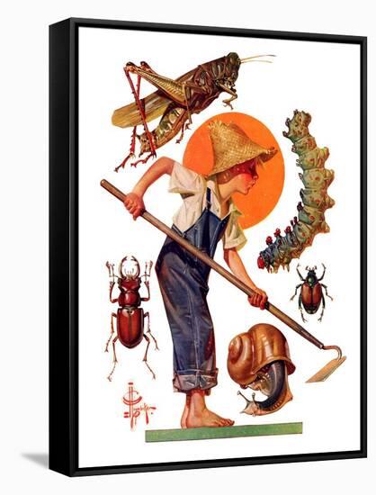 "Garden Pests,"June 4, 1932-Joseph Christian Leyendecker-Framed Stretched Canvas