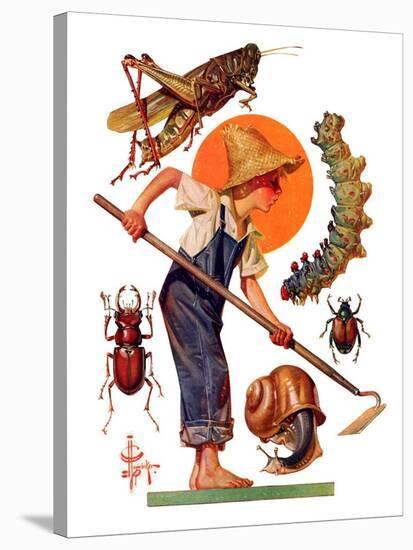 "Garden Pests,"June 4, 1932-Joseph Christian Leyendecker-Stretched Canvas