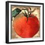 Garden Pick I-Elizabeth Medley-Framed Art Print