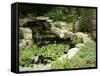 Garden Pond with Waterfall-null-Framed Stretched Canvas