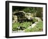 Garden Pond with Waterfall-null-Framed Photographic Print