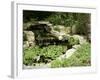 Garden Pond with Waterfall-null-Framed Photographic Print