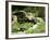 Garden Pond with Waterfall-null-Framed Photographic Print