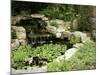 Garden Pond with Waterfall-null-Mounted Photographic Print