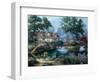 Garden Pond-Nenad Mirkovich-Framed Art Print