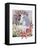 Garden Pony-K.C. Grapes-Framed Stretched Canvas
