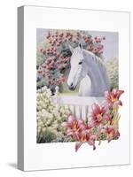 Garden Pony-K.C. Grapes-Stretched Canvas