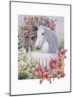 Garden Pony-K.C. Grapes-Mounted Giclee Print