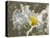 Garden Poppies-George Johnson-Stretched Canvas