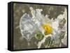 Garden Poppies-George Johnson-Framed Stretched Canvas