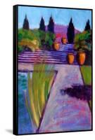 Garden Pots-Sara Hayward-Framed Stretched Canvas