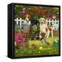 Garden Puppies-William Vanderdasson-Framed Stretched Canvas