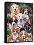 Garden Puppies-Jenny Newland-Framed Stretched Canvas