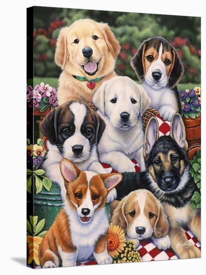 Garden Puppies-Jenny Newland-Stretched Canvas