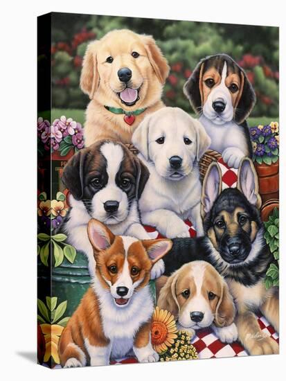Garden Puppies-Jenny Newland-Stretched Canvas