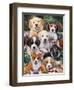 Garden Puppies-Jenny Newland-Framed Giclee Print