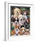 Garden Puppies-Jenny Newland-Framed Giclee Print