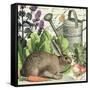 Garden Rabbit I-Wild Apple Portfolio-Framed Stretched Canvas