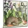 Garden Rabbit I-Wild Apple Portfolio-Mounted Art Print