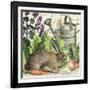 Garden Rabbit I-Wild Apple Portfolio-Framed Art Print